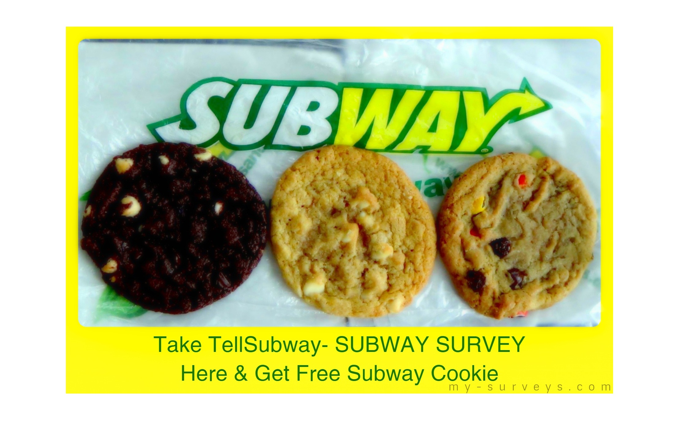 tell Subway Survey