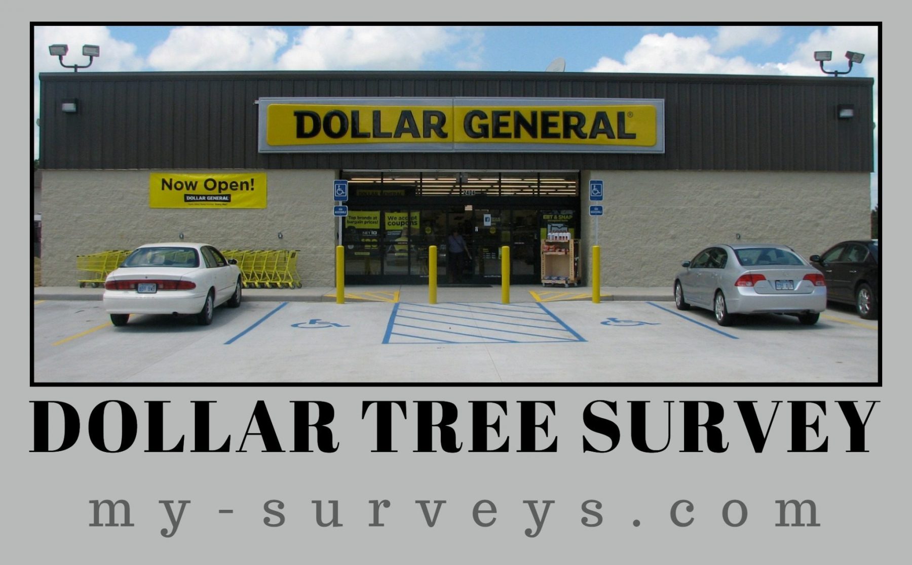 Dollar Tree Survey