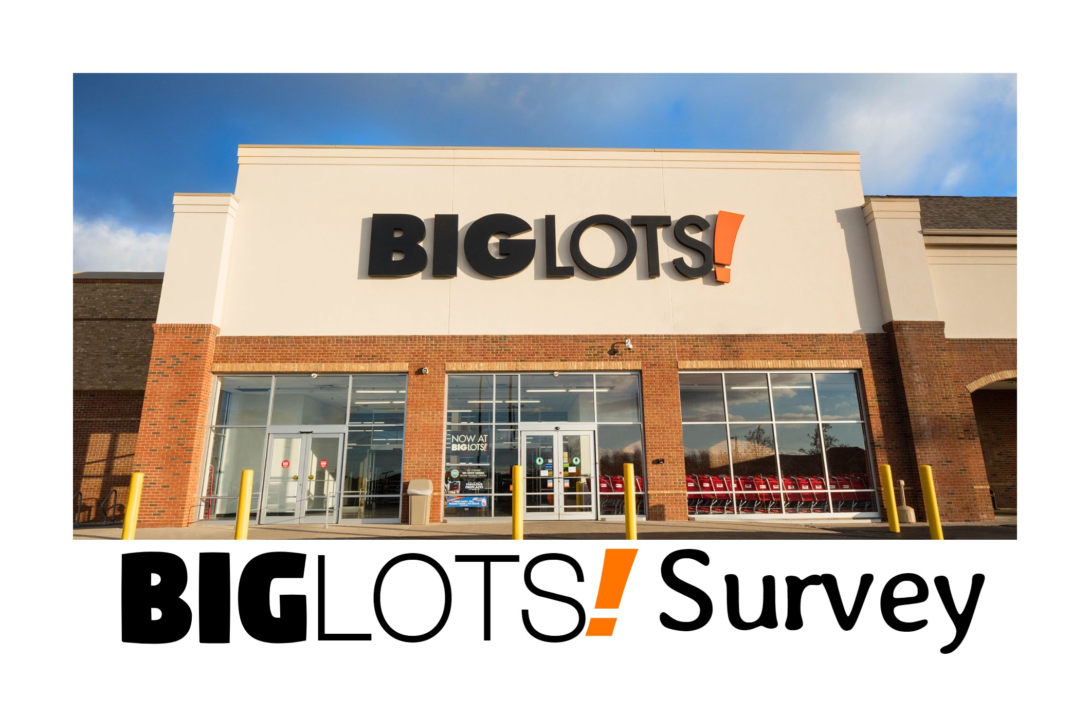 big lots survey